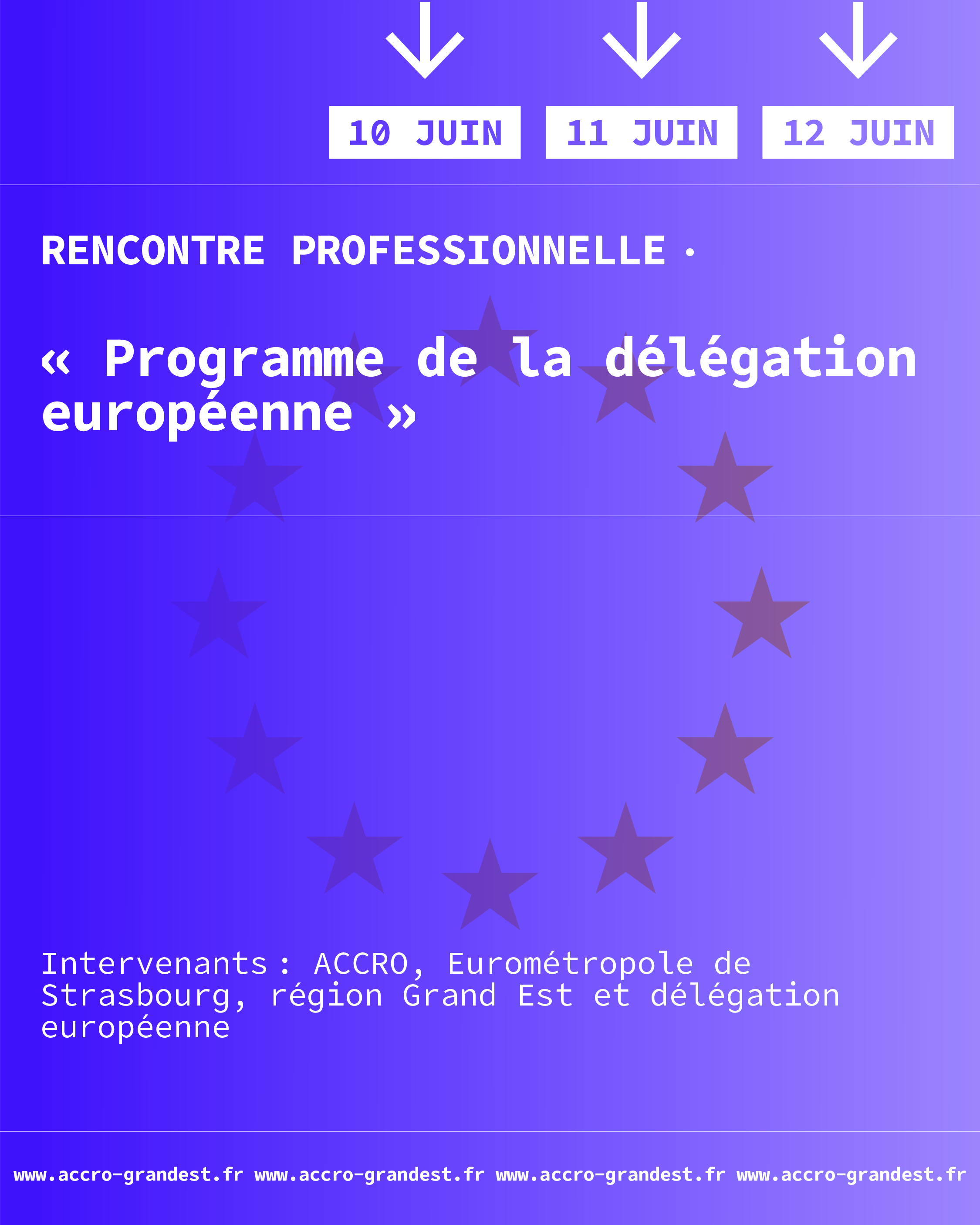 Visuel de l'événement : « Programme de la délégation européenne »